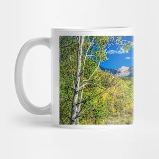 Looking Back On Independence Pass Mug